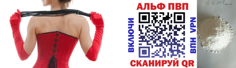 APVP СК  Волгореченск 