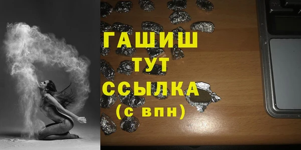 индика Богданович