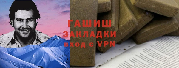 индика Богданович