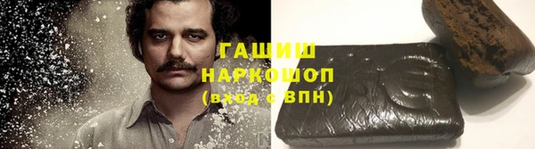 индика Богданович