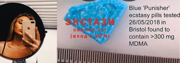индика Богданович