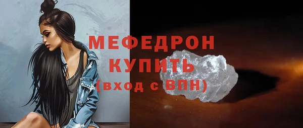 индика Богданович