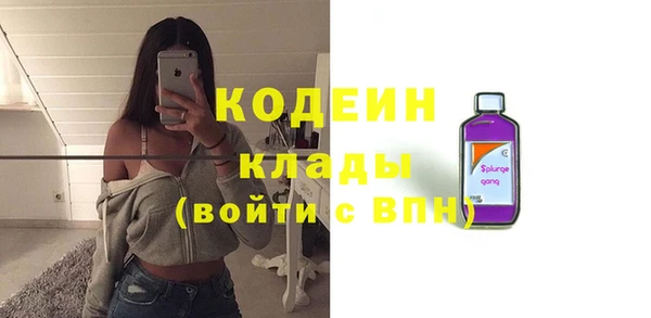 индика Богданович