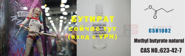 индика Богданович