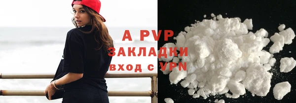 индика Богданович