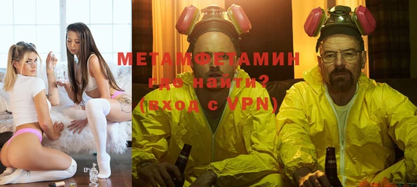 индика Богданович