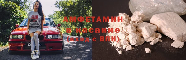 индика Богданович