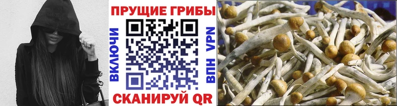 наркота  Волгореченск  Галлюциногенные грибы ЛСД 